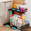 ADBIU Under Sink Organizer(10 Seconds Installation), 1 Pack 2 Tier