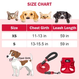 KOOLTAIL Breathable Dog Harness for Puppy, Adjustable No Pull Step-in Vest Harness with Reflective Leash for Small Dogs and Cats Walking