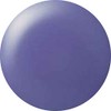 Cocoist E-217 Color Gel Smoky Blueberry 0.1 oz (2.5 g),