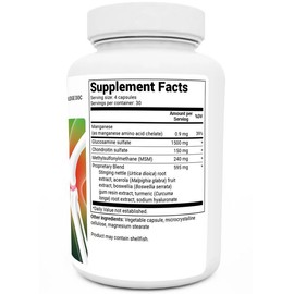 Glucosamine Chondroitin Advanced Joint Support with MSM - 120 Vegetable Capsules Supplement Healthcare Vitamin