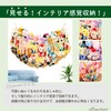 illimitato Stuffed Toy, Storage (Large Capacity, Display, Display), Stuffed Toy