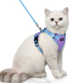 rabbitgoo Cat Harness and Leash Set, Escape Proof Soft Adjustable Vest Harnesses for Outdoor Walking, Easy Control Breathable Kitten Jacket with Reflective Strips, Purple & Blue, XS