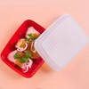 Tupperware Season-Serve Marinating Container, Dishwasher Safe and BPA Free Container