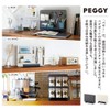 キングジム(Kingjim) King Jim PG400 Peggy Board, Tabletop Storage, Perforated Board,