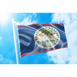 DMSE Belize Belizean Coat of Arms on a Blue Field Flag 3X5 Ft Foot 100% Polyester 100D Flag UV Resistant (3'X5' Ft Foot)