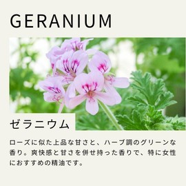 Tree of Life Geranium Essential Oil 10ml Essential Oil Aroma Oil