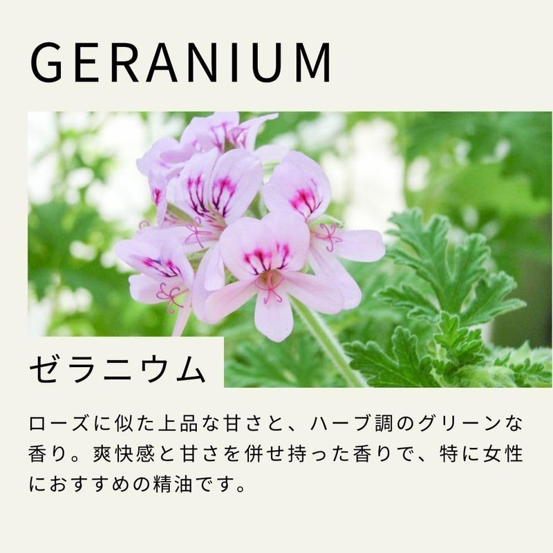 Tree of Life Geranium Essential Oil 10ml Essential Oil Aroma