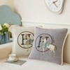New Version 18x18 inches Throw Pillow Cushion Covers Set 2