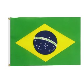 Brazil Flag 4X6 FT, Outdoor Polyester Flags, Braziian National Flags - Double Stitched with Brass Grommets and Stronger Header. (4X6)
