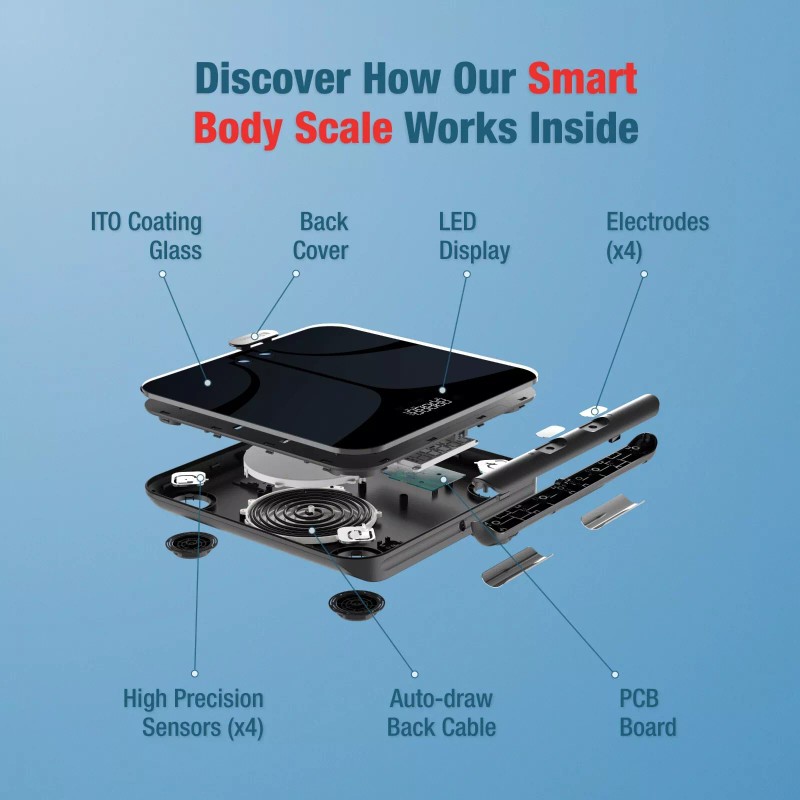 Bisonbody Smart Body Scale - 29 Body Composition Data Measurement