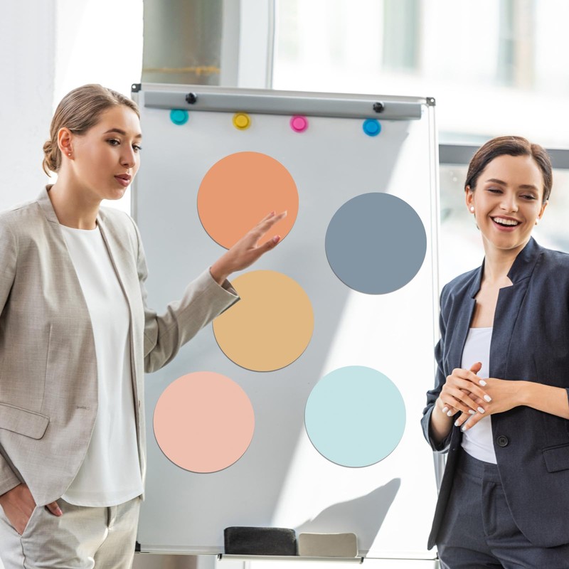 Lincia 24 Pack Colorful Erase Dots Circles 10.5 Inch Removable