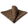 S&W SHLAX&WING Pocket Squares for Men Brown with Blue Dots
