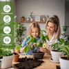 Organic Avocado Tree Potting Soil Mix 1qt, Enhance Growth and