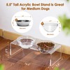 Additional Glass Bowl for The Feoyoho Feeders,Replacement Pet Glass Bowl,Dishwasher,