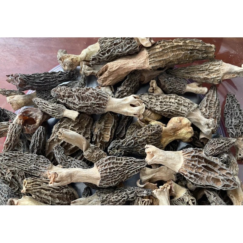 IntotheNature Dried Morel Mushrooms /Grade AA 羊肚菌 2 oz