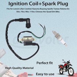 Amavoler Ignition Coil+Spark Plug Replacement Parts Fit for Coolster 125cc 3050B ATV-3050B 3050 B3050A 110cc Kids 4 Quad Four Wheeler Roketa Baja Kazuma Meerkat 50cc Falcom 110cc 70cc Chinese Quad ATV