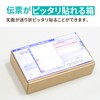 Earth Cardboard ID0139 60 Size, Set of 5, Invoice Size,