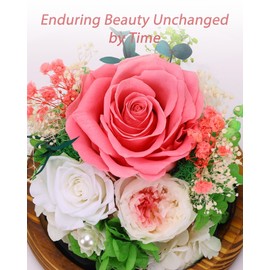 Forever Rose Preserved Roses for Anniversary: Birthday Gifts for Women Wife Flowers for Delivery Prime - Forever Flowers for Mother's Day - Preserved Flowers Eternal Rose for Valentines (Pink)