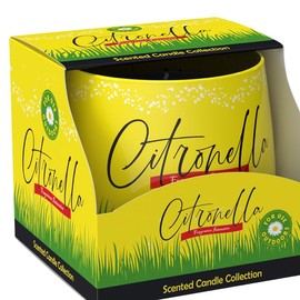 LivuX Duftkerze im Glas Citronella – Zitrisch-frischer Duft – Aromakerze 100g – ca. 25h Brenndauer – Ø 7,5 cm – 1334