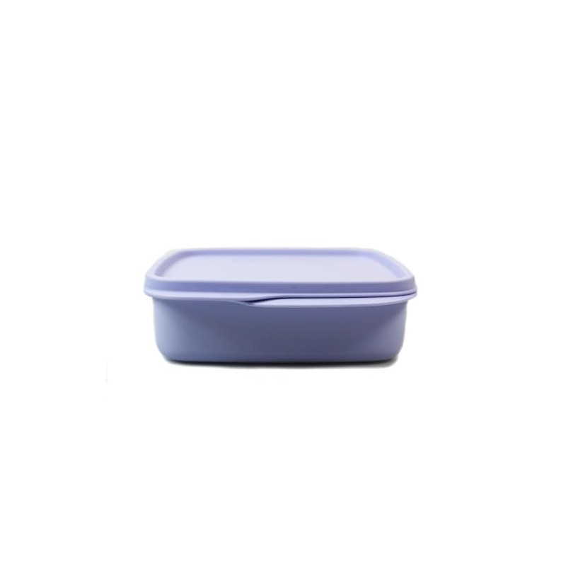 Tupperware to Go Lunch Box Clever Break 590 ml with