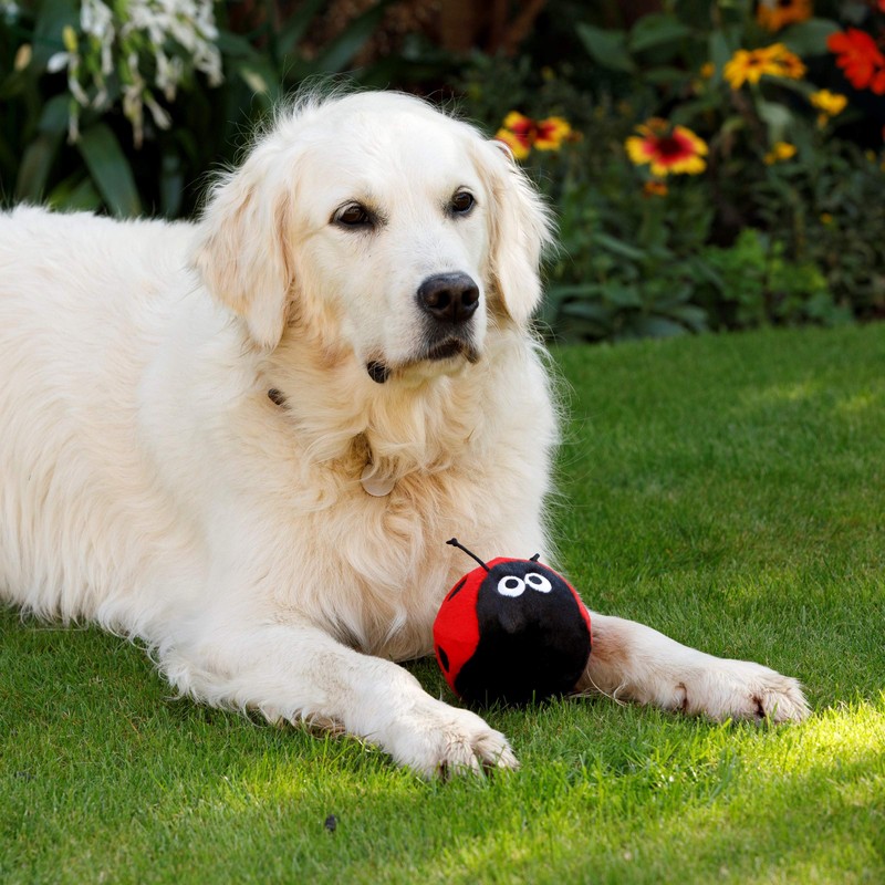 Petface Buddies Plush Ladybird Dog Toy