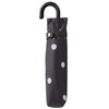 Miyajima 18720 Folding Umbrella, 19.7 inches (50 cm), Rain or