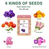 Flower Seed Pod Kit Mix of 6 Different Included Pansy,