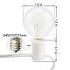 Romasaty 25FT String Lights, G40 Outdoor String Lights Edison Light