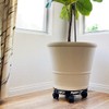 Lily's Home Raised Rolling Planter Pot Dolly / Caddy Stand