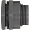 Hayward BFAS1015CES Series BFAS Short Pattern Bulkhead Fitting, Socket x