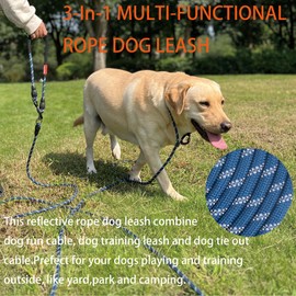 Heavy-Duty Long Dog Leash, 30/50/65 FT,Dog Tie Out Cable, Runner Cable,Training Leash with Foldable Padded Handle&Slip Collar, Double Swivel Hook for Play, Camping, Yard,Backyard Tie (Silver, 65FT)