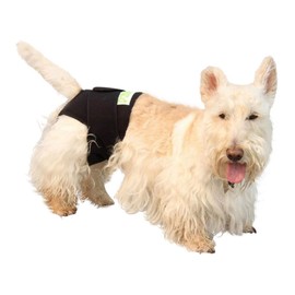 Healers Dog Diaper and Therapeutic Wrap, "Small"