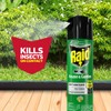 Raid House and Garden Insect Killer Insecticide Aerosol Spray -
