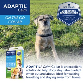 ADAPTIL Calm On-the-Go Collar, Helps Dogs Cope with Stress and Anxiety Related Behavioural Issues and Life Challenges Especially When Out and About - Small Dogs (Packing May Vary)