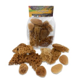 Lullingworth® Artist Natural Sea Sponges: Unbleached 10 Pack 2-4 inch Value Tool Set-Faux Painting Effects, Acrylic Paint, Watercolor, Texturing, Marbling, Clay, Pottery, Ceramics, Crafts & Hobby