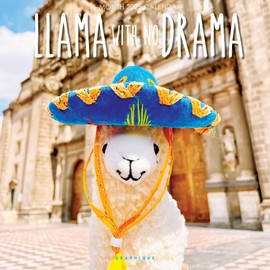 Graphique 2025 Llama with No Drama Wall Calendar | 12” x 12” | Thick Paper | Home & Office Organizer | Large Monthly Grid | 3 Languages & Marked Holidays | 4 Month Preview Page for 2026