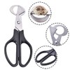 2 Pieces Quail Egg Scissors, Stainless Steel Quail Egg Scissors,