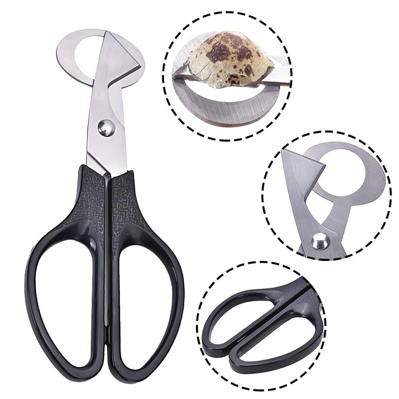 2 Pieces Quail Egg Scissors, Stainless Steel Quail Egg Scissors,