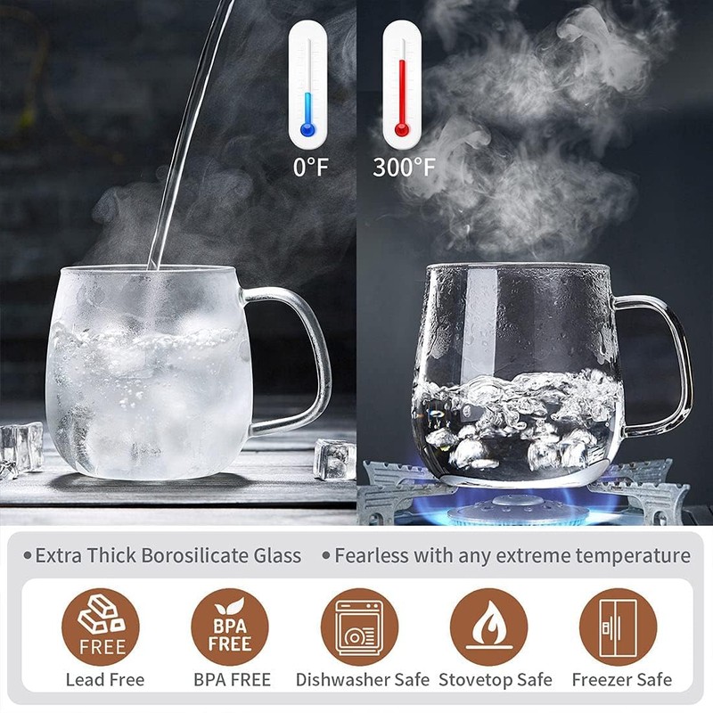 DOPUDO Glass Teacups 2 Pack Glass Tea Cup with Infuser