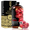 Apple Essential Oil, Apple Oil 16 Fl Oz 480 ML