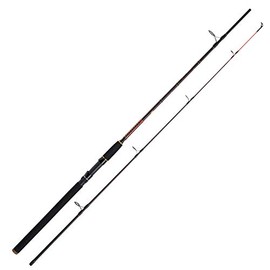 WFT Royal Never Crack Jig & Pilk Fishing Rod Sea Rod Boat Rod 2.40 m 40-160 g