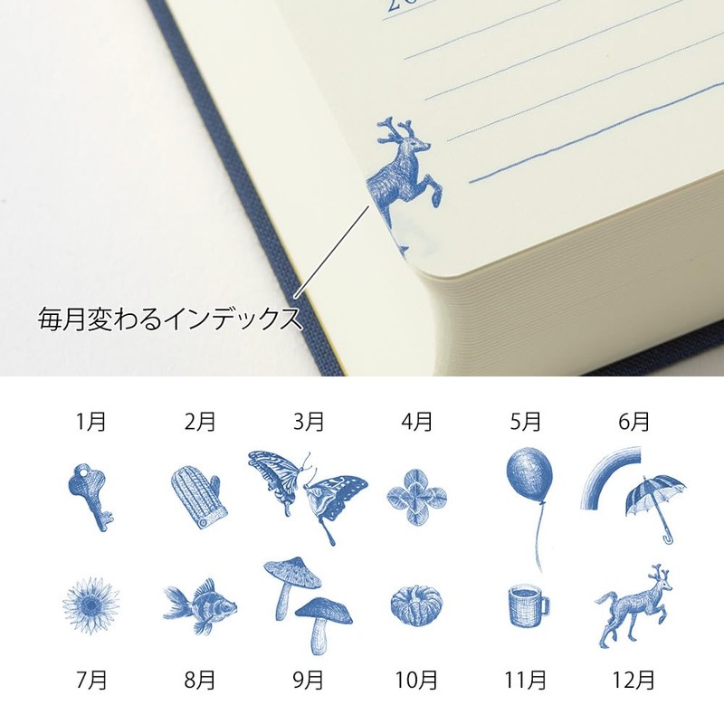 DESIGNPHIL Midori (MIDORI) 10-Year Continuous Use Diary with Navy Door