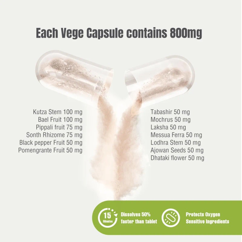 Herbsforever Cápsulas Stomach-d Suplemento Digestión 90