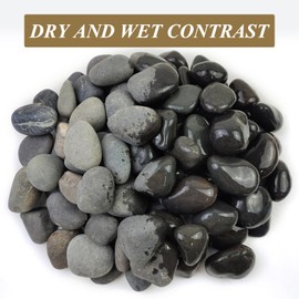 FANTIAN 20 lbs Black Rocks for Landscaping, 2-3 Inch Pebbles for Plant