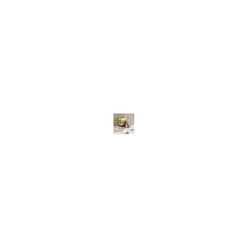 아르딘 Ardin Ciero Color Airtight Container Rectangular 900ml