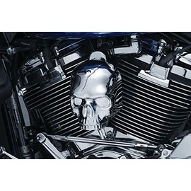 Compatible with Kuryakyn Compatible with Chrome Skull Waterfall Style Compatible with Horn Cover Accent Compatible with Harley Motorcycle 17-18
