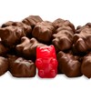 Candy Retailer Chocolate Covered Cinnamon Gummi Bears (1 Lb)