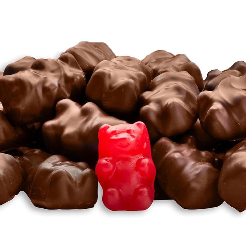 Candy Retailer Chocolate Covered Cinnamon Gummi Bears (1 Lb)