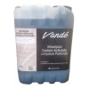 Shampoo Carbón Activadolimpieza Profunda 20lt Detox Capilar                                                                                           