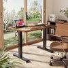 Veken 39.4" Small Electric Standing Desk, Height Adjustable Sit Stand